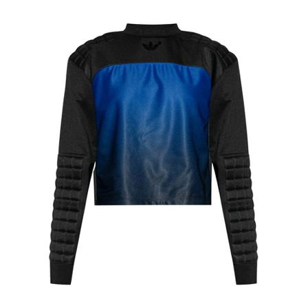 Adidas Originals The ‘Blue Version’ collection sweatshirt Blå, Dame Sweatshirts