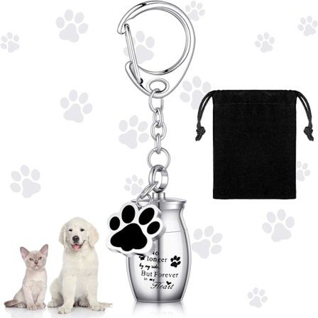 Minne-skjeletthenger med askebeholder - Smykke til kjæledyrkremasjon - Rustfritt stål - Henger med bånd for kjæledyrpote (sølv)