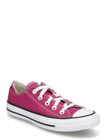 Converse | Ctas Ox Berry Smoothie | 36.5