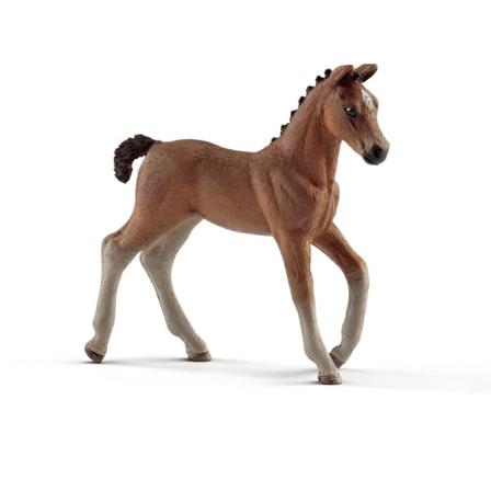 Schleich Horse Club Hannoveraner Föl 13818 Multifärg
