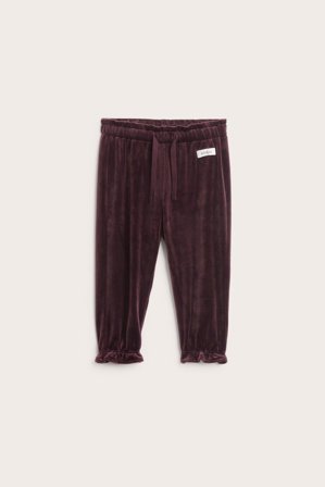 Newbie | Spodnie dresowe z weluru | Fioletowy
