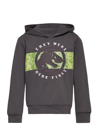 Long Sleeves Sweat Hettegenser Genser Grå Jurassic World*Betinget Tilbud