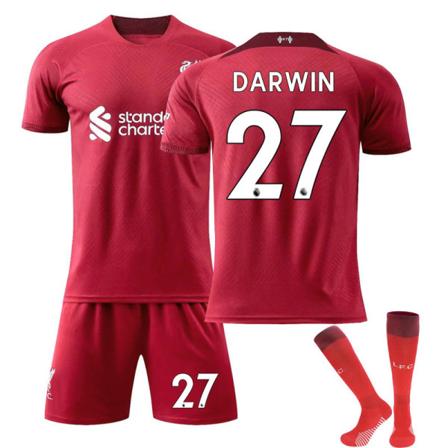 Liverpool Hemma nr 11 Salah nr 10 Mane fotbollströja kostym Darwin 27 With socks L(175-180cm)