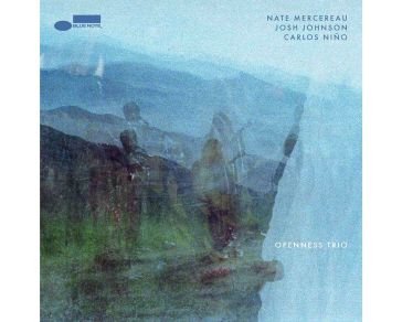 Openness trio John Mercereau Nate