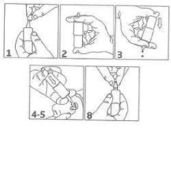 Ectoal Soluzione Oftalmica 10ml