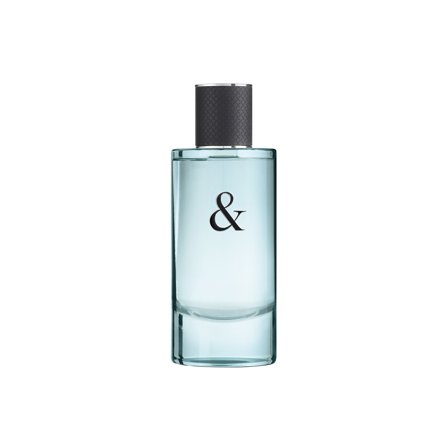 Tiffany & Co. Tiffany & Love For Him 90ml - Eau de Toilette