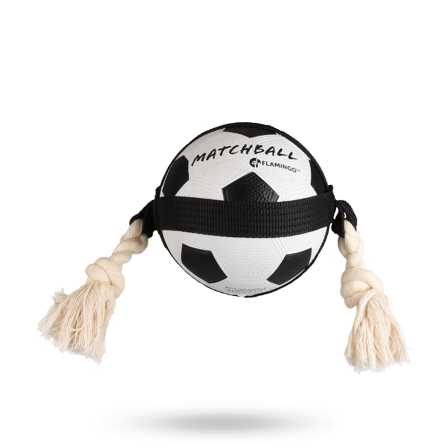 Actionboll Fotboll med Rep - Hundleksaker