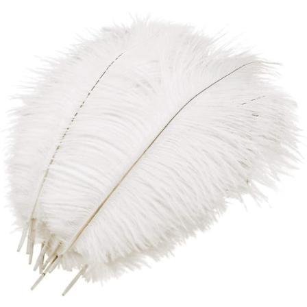 10 stk Naturlige Stråsefjer, Stråsefjer Kompatibel med Bryllup Fest Festival Bord Senterpynt Dekorasjon (hvit, 25-30cm)