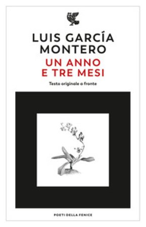 Un anno e tre mesi. Testo originale a fronte Luis Garcia Montero