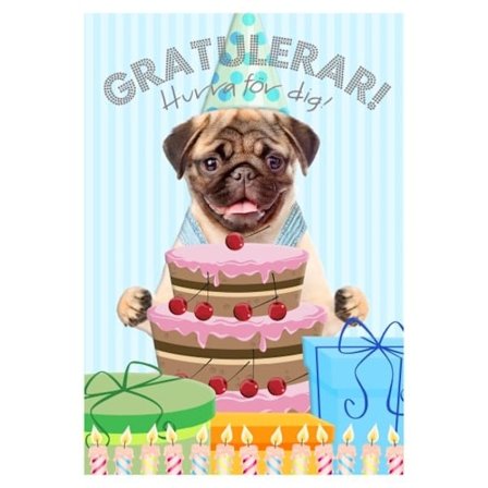 Easy Kids Card Tillykke Hurra for dig, hund - spar