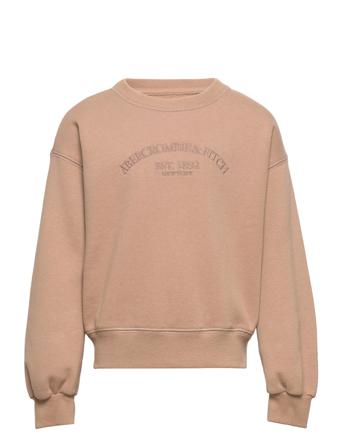 Kids Girls Sweatshirts Sweat-shirt Tröja Beige Abercrombie & Fitch