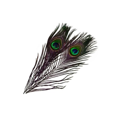 Frödin SNS Peacock Eye Feathers - Charcoal Black