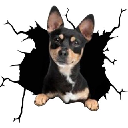 15x15cm Søte Hundebil Klistremerker 3D Hundeklistremerke Bil Dekaler Hundeklistremerker 3D Sprekk Hundeklistremerker Bil Glass Vindusklistremerker