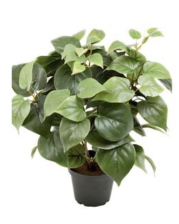 Konstväxt Philodendron Grön - Mr Plant