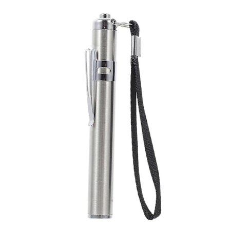 Ägglysare Mode Ägglysningslampa LED-ljus Liten ficklampa (Silver)