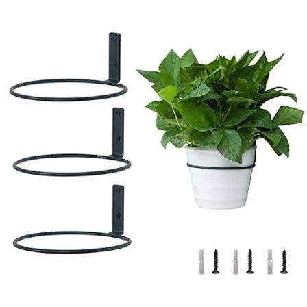 3-pack (11 cm) Väggfästen för blomkrukor i metall med skruvar för trädgård