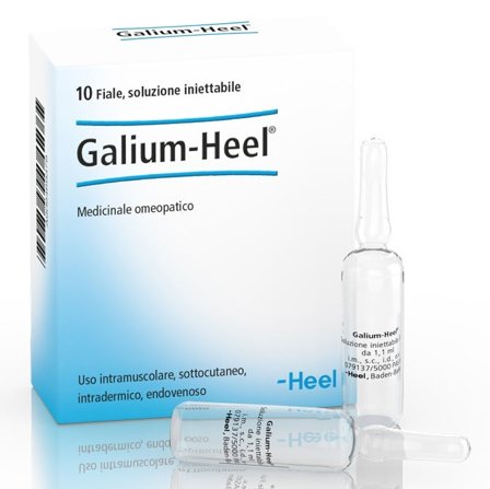 Galium Heel 10 Fiale 1,1ml