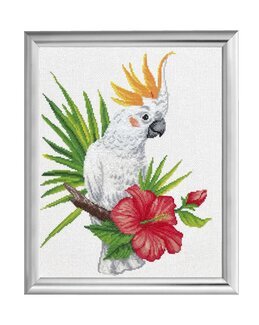 Kirjontapakkaus Taulu Kakaduu-Needleart World