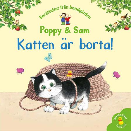 Katten är borta! - Bok av Heather Amery & Stephen Cartwright - Inbunden