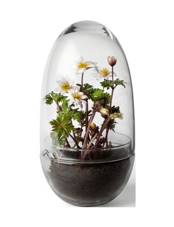 Design House Stockholm Grow Greenhouse Medium - Nude - H24CM