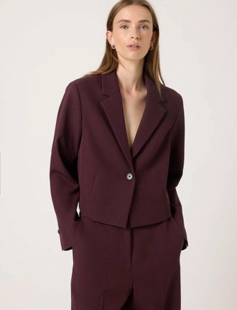Soaked in Luxury Sllilu Corinne Cropped Blazer - Burgundy - XL