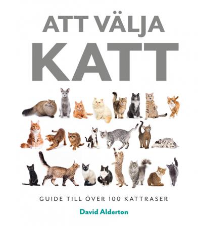 Att välja katt: guide till över 100 kattraser - Bok av David Alderton - Inbunden