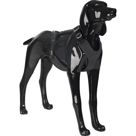PAIKKA - Visibility Harness Dark L - Hund - Halsbånd - ZOO.no