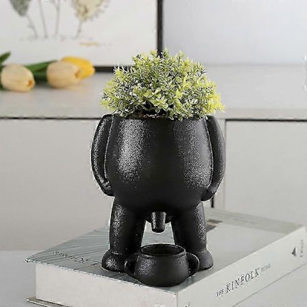 Nyhet Tissende Plantepotte, Vase for sukkulenter, Hjemmeinnredning, Morsom gaveidé