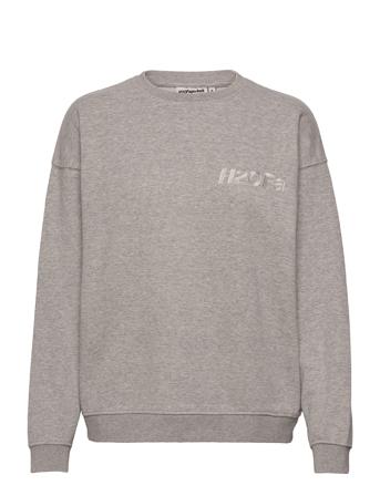 Cream Doctor 1 O'neck Sweatshirt Trøje Grå H2O Fagerholt