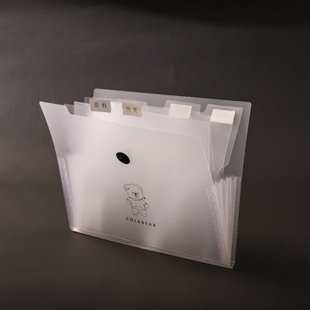 Transparent File Bag Transparent Folder 5 GRIDS-BEAR 5