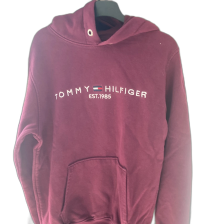 tommy hilfiger hoodie