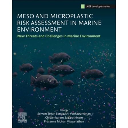 Meso and Microplastic Risk Assessment in Marine Environments (häftad, eng)