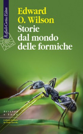 Storie dal mondo delle formiche Edward Osborne Wilson