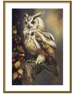 Broderipakke Bilde Klok Ugle - Nova Sloboda