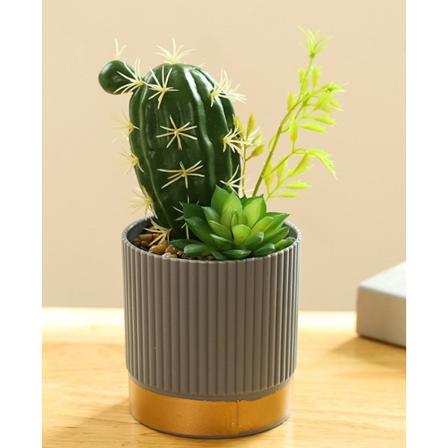 Konstgjord kaktus Cactus Creativ grön 22-28cm 1 set