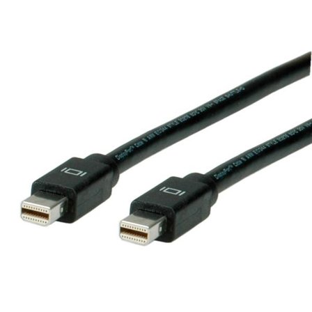 ROLINE Displayport Cable 2 M Mini