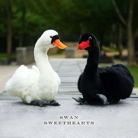28cm Realistic Swan Plush Toy Black And White Color Boy And Girl Squishmallow Cute Animal Plush Doll