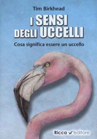 i sensi degli uccelli. Cosa significa essere un uccello Tim Birkhead