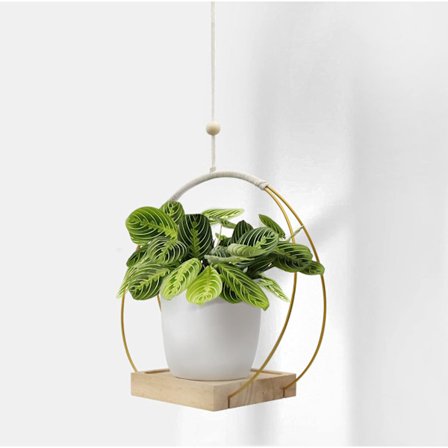 Hengende Planter med Tretrebunn, Makrame Hengende Planteholder, Dekorativ Blomsterpotteholder, Plantehengende Potte for Vegg, Vindu, Boho Hjemmedekor
