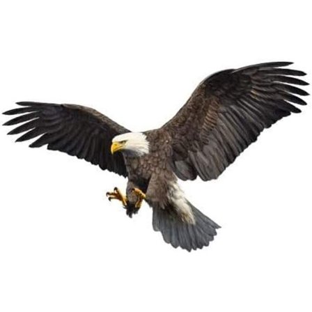 2 KPL Kotka Autotarrat, Vedenpitävä Auton Konepelti Tarra Lentävä Kotka Vinyyli Tarra DIY Yleistarra Yhteensopiva Ikkuna Puskuri Kannettava Tietokone 