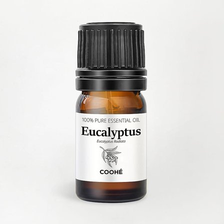 COOHÉ Eucalyptus Essential Oil 5 ml, Tøj & Bolig, Duftolier, Æteriske Olier