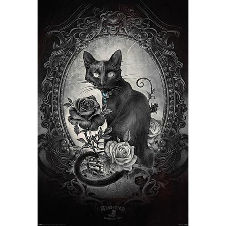 Alchemy - Paracelcus - Cat - Katt