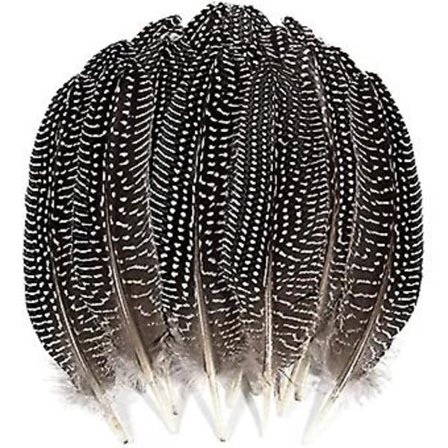 20 st Rena Naturliga Pärlhönsfjädrar 15-20 cm DIY Dekorativa Fjäderaccessoarer