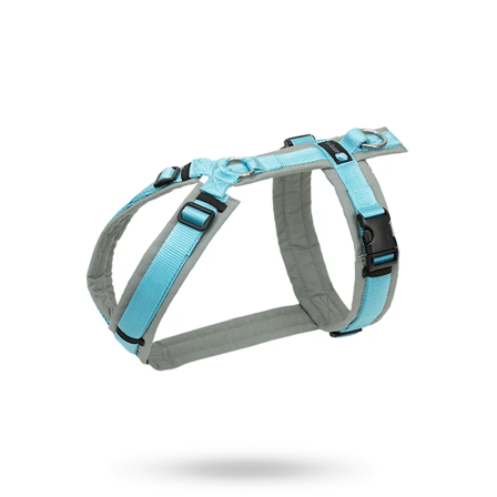 Anny-X - Anny-X Fun Hundsele Grå / Isblå