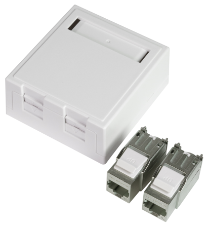 Elko EKO02825 Modulæruttak 6 A, RJ45 2 koblinger, Datamaskin & surfing