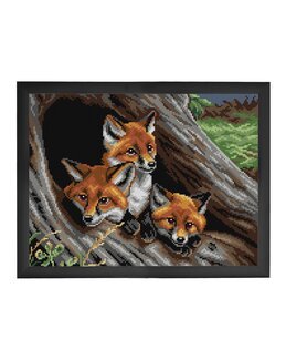 Stramin Junge Füchse