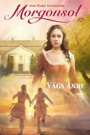 Vägs ände - Bok av Anne Marie Stamnestrø - Inbunden