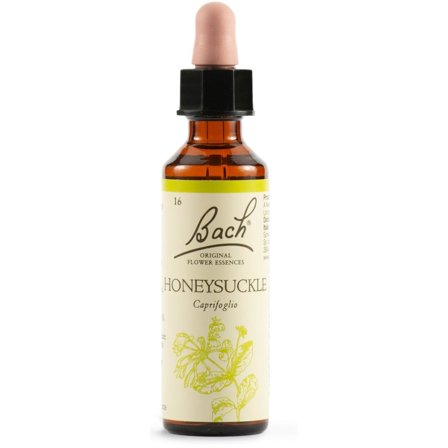 Honeysuckle Bach Original Flower Essences 20ml