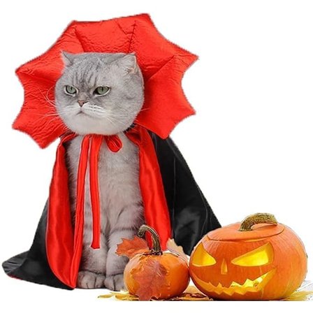 Katt Kostyme, Kappe Hexehatt Kjæledyr Tilbehør Halloween Justerbar Kjæledyr Kostyme Klær Sett, Halloween