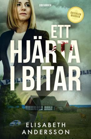 Ett hjärta i bitar - Bok av Elisabeth Andersson - Inbunden